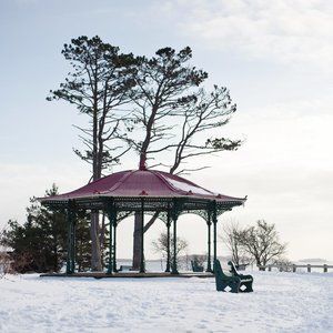 Point Pleasant Park Winter Postcard - Halifax, Nova Scotia, Canada